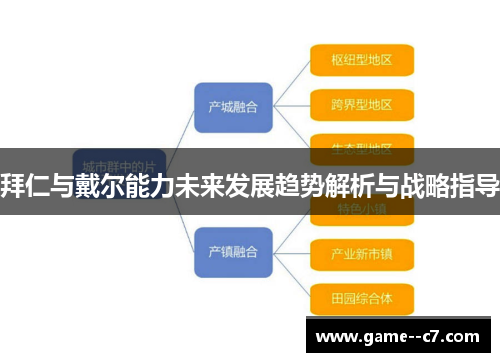 拜仁与戴尔能力未来发展趋势解析与战略指导